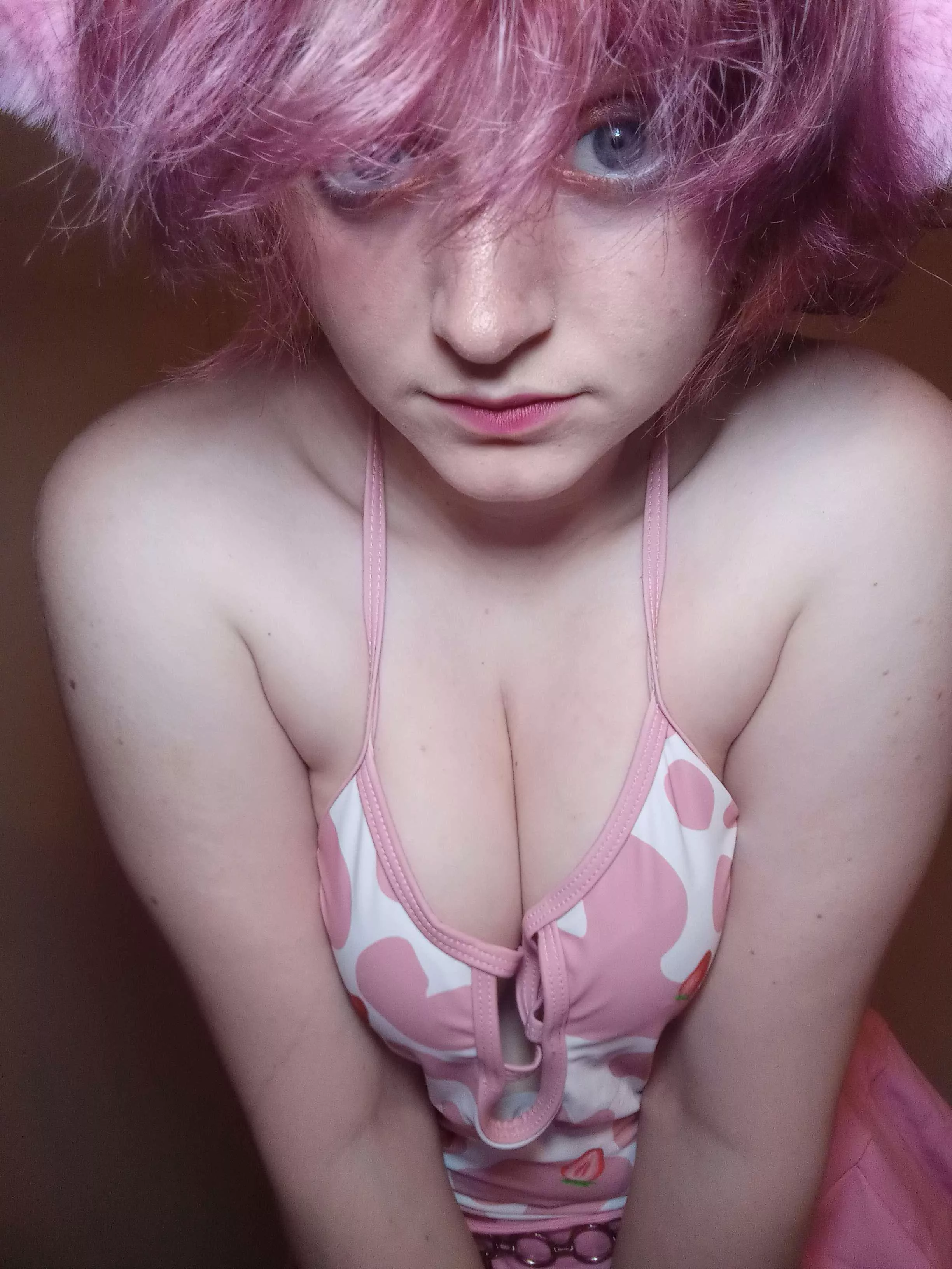 My breasts are down here posted by LadyCheesecake12