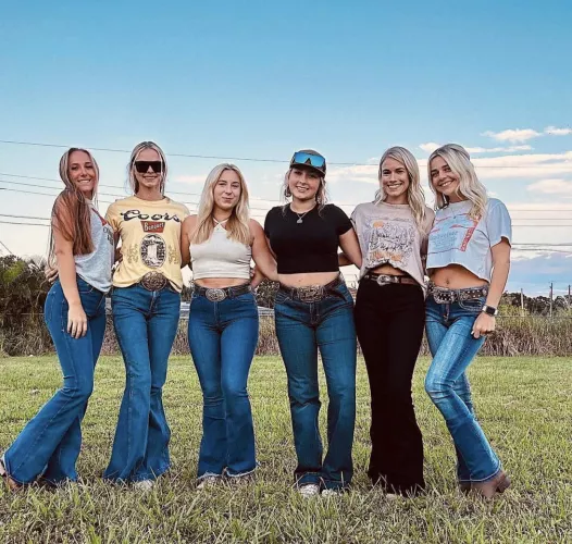 Pick Your Cowgirl [6] by CakeIcy4789