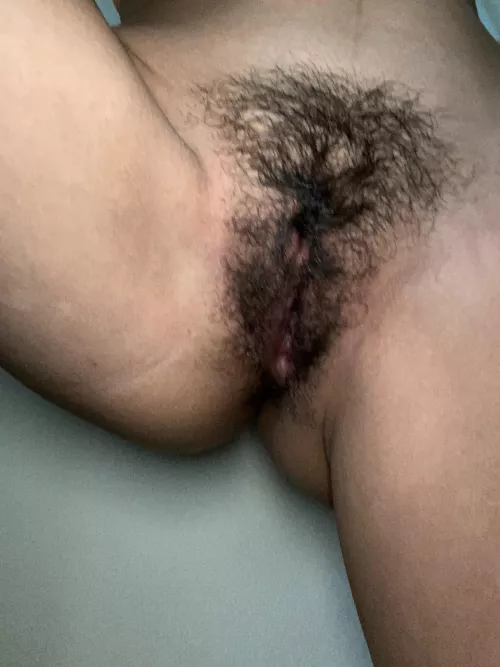 soft bush for you  by dreamgirlylol