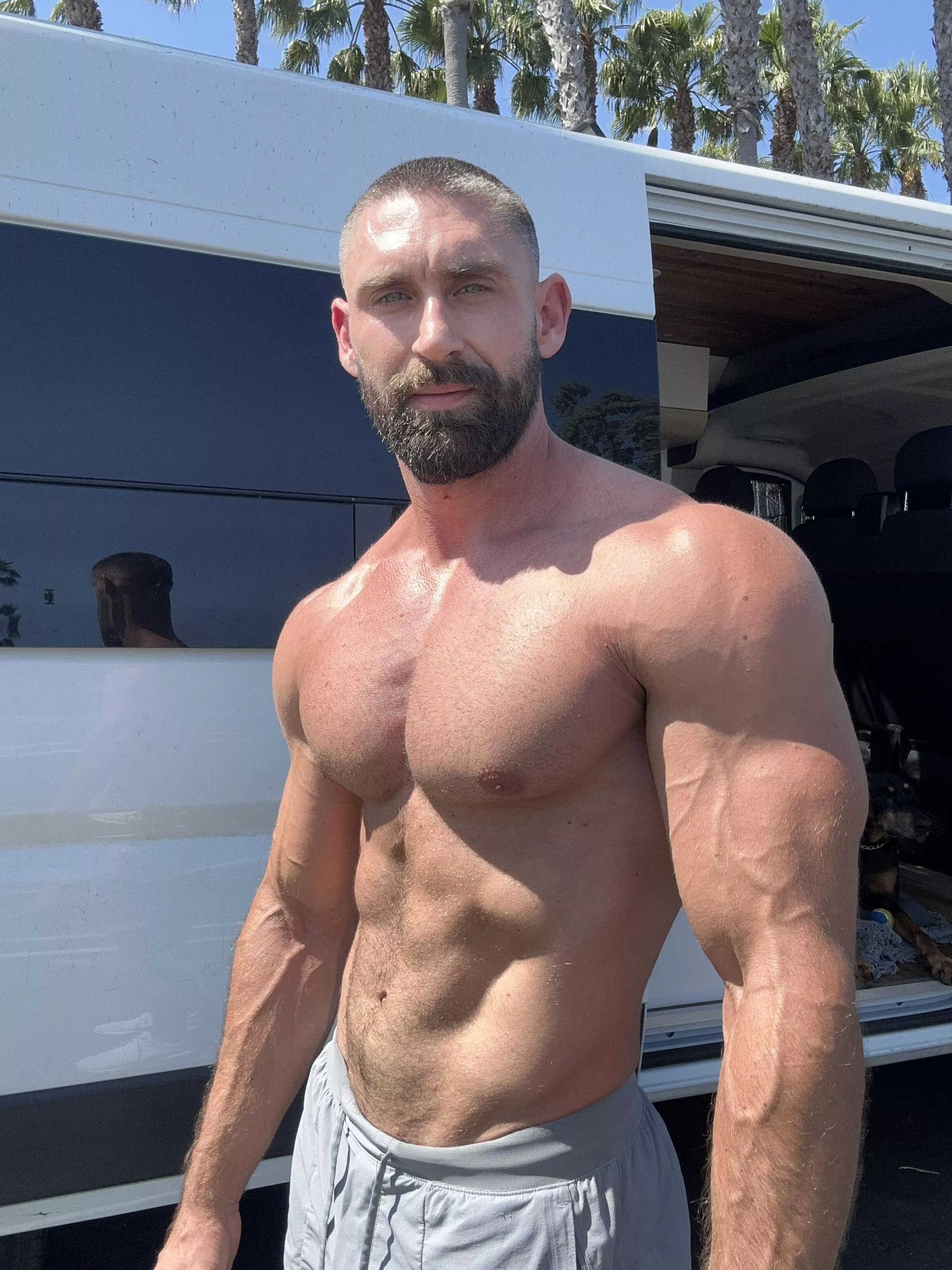 Van life  posted by onlygainzsteve