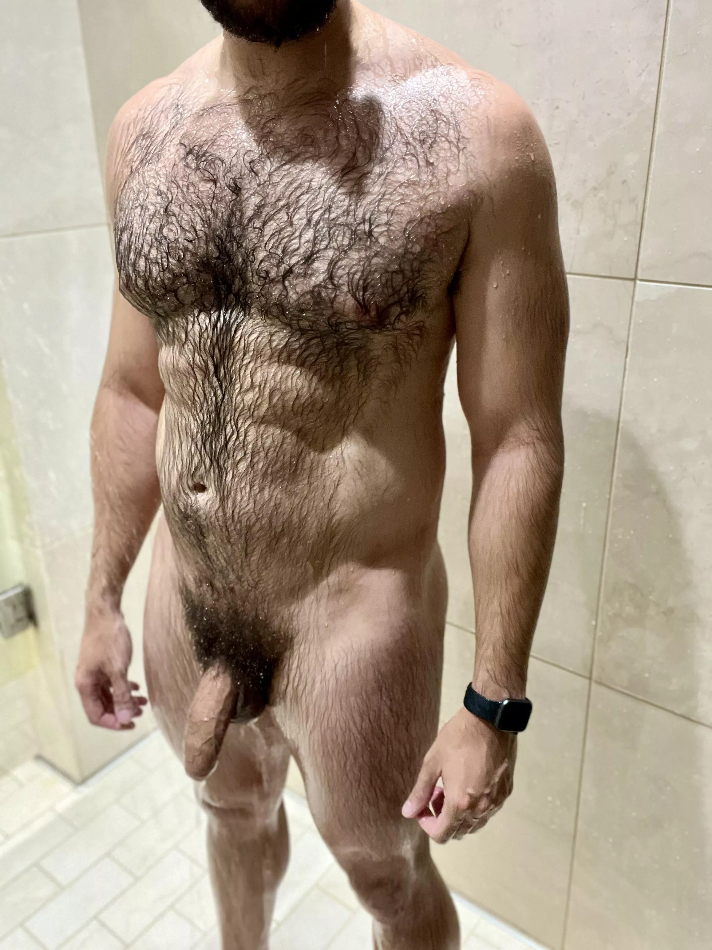 Where’s a Shower Assistant When You Need One? posted by Hairy_beefcake