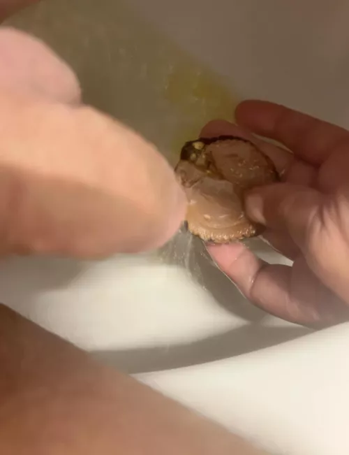 I piss on a Reese’s Piece’s Peanut Butter cup then eat it by The_Lethargic_Nerd