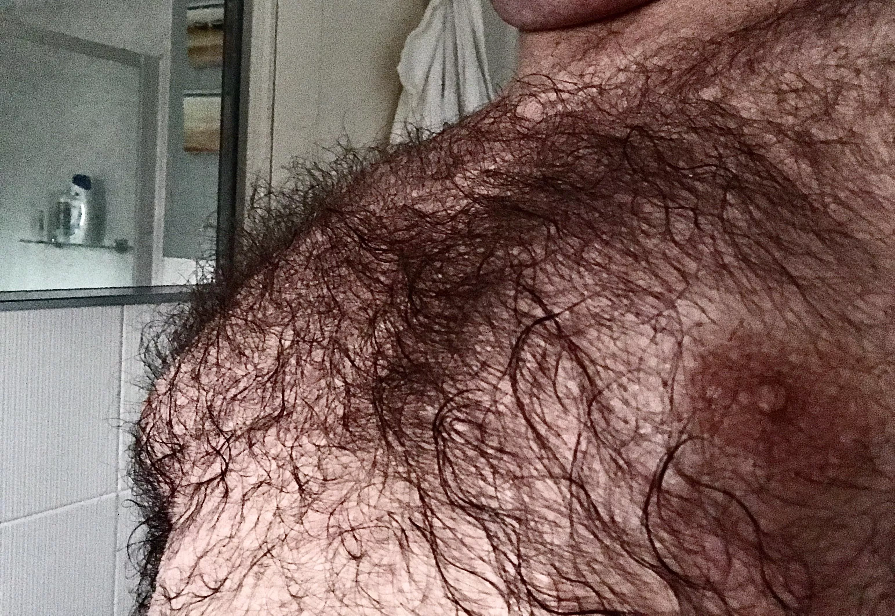 Chest posted by Hairyguy1307