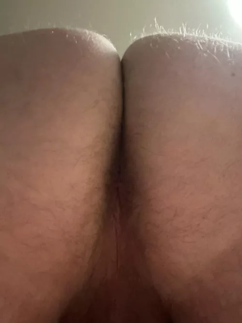 Do you want it? [33] by Immediate_Orange_524