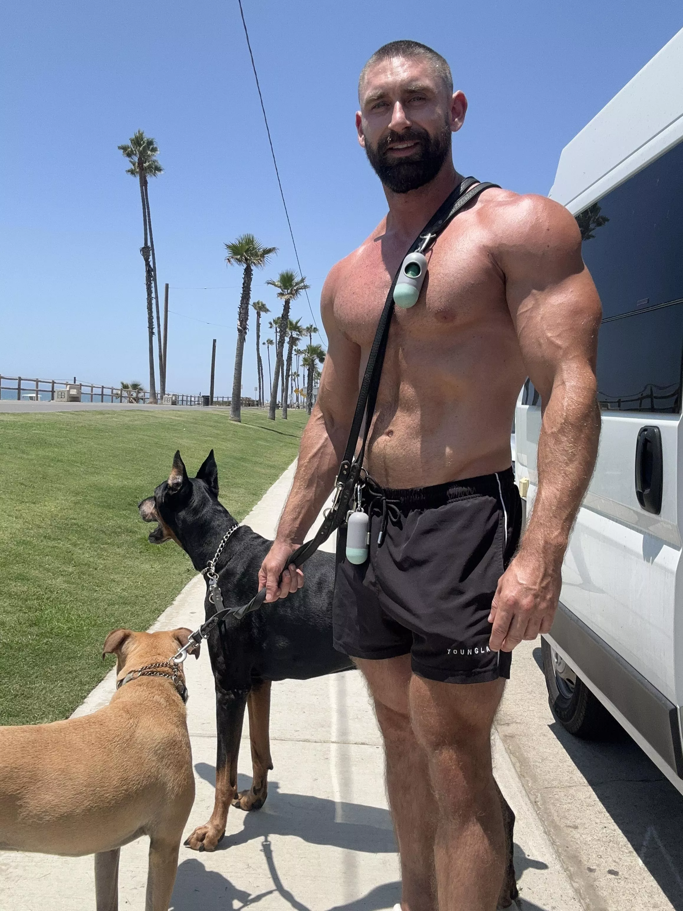 Dog or cat person? posted by onlygainzsteve