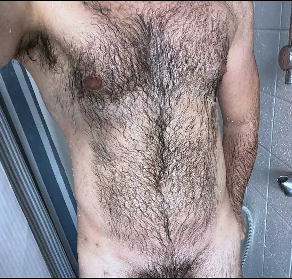 Hairy enough or too hairy? posted by Alienationalism