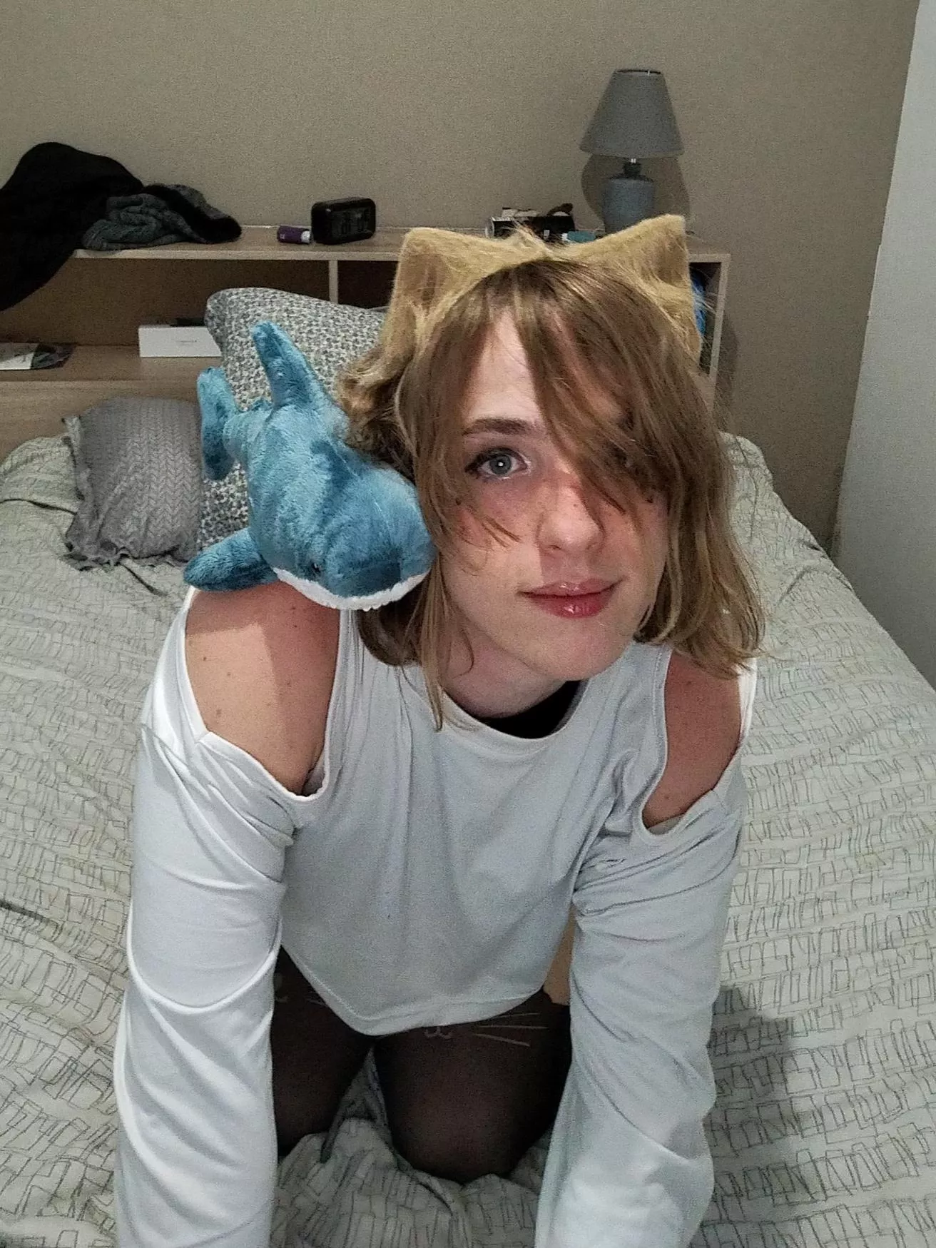 Hello little shork frend :D ♥️🐳 posted by Humide_Chan