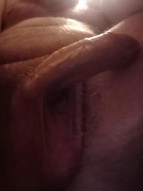 Hi Tom.45 by Fun-Ferret1371