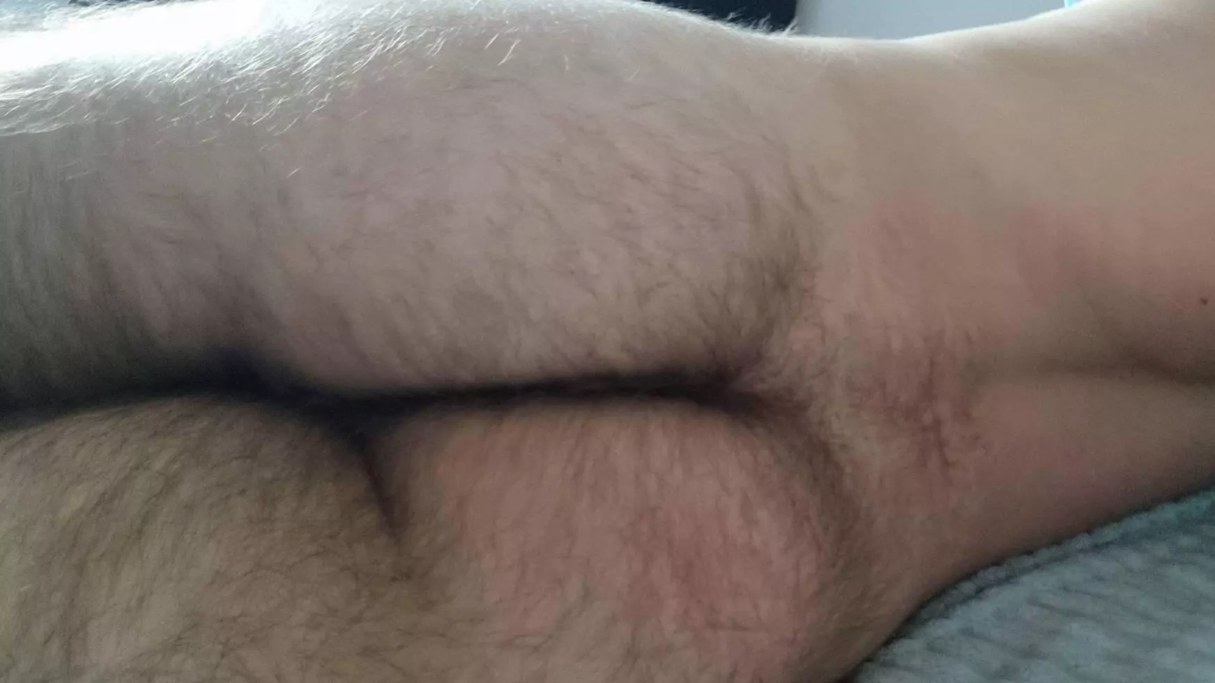 Just got rejected on grindr because my ass is too hairy... should I shave? posted by collegegymbro14