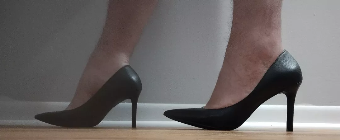 My new Jessica Simpson Nettles pumps from DSW  posted by Buffynerd
