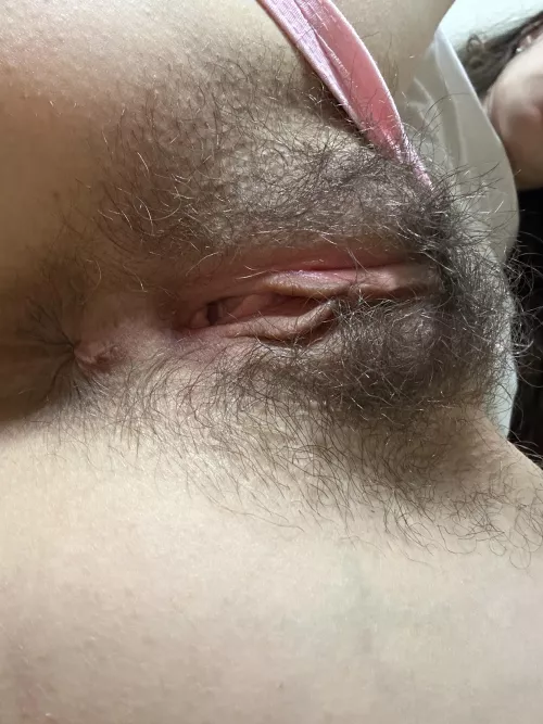 Too short or just right by draconia777