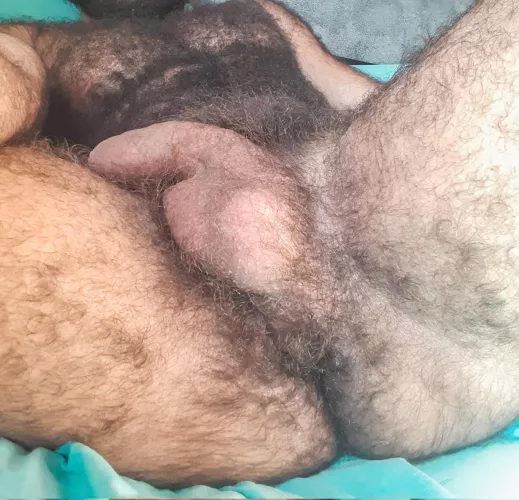 What are you sniffing first? by gym-fur