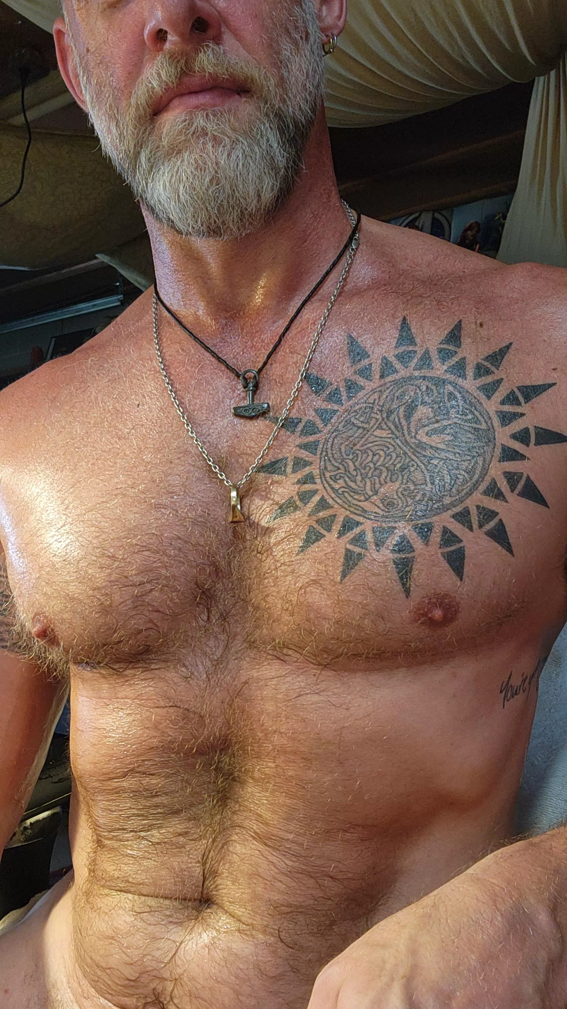 What do you think about sweaty blonde chest hair?  posted by yogadaddywill