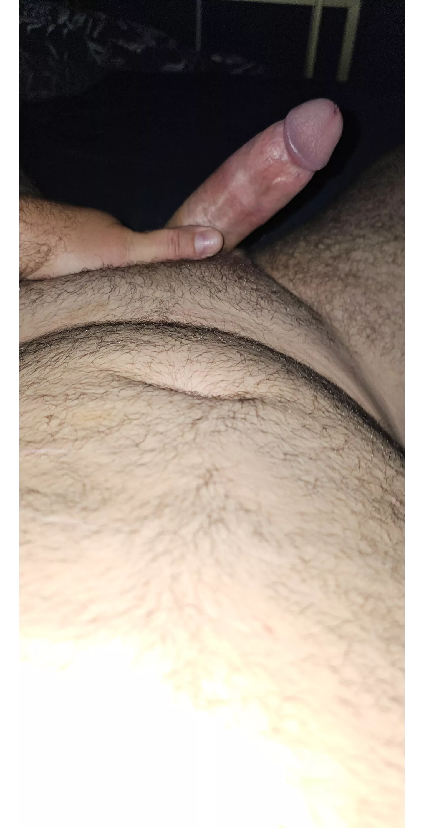 Woke up with this under the sheets  posted by Dutchdaddy720