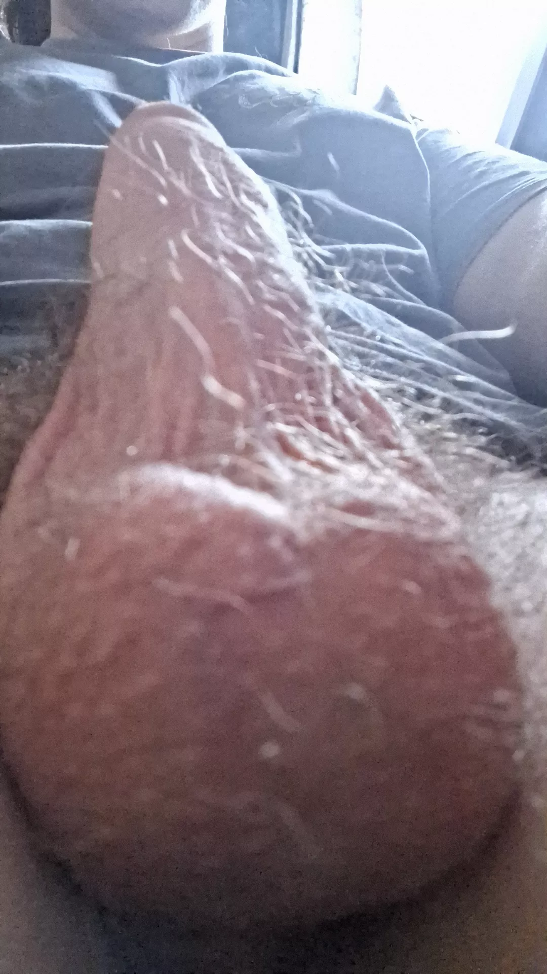 Hairy balls posted by SumKid8280