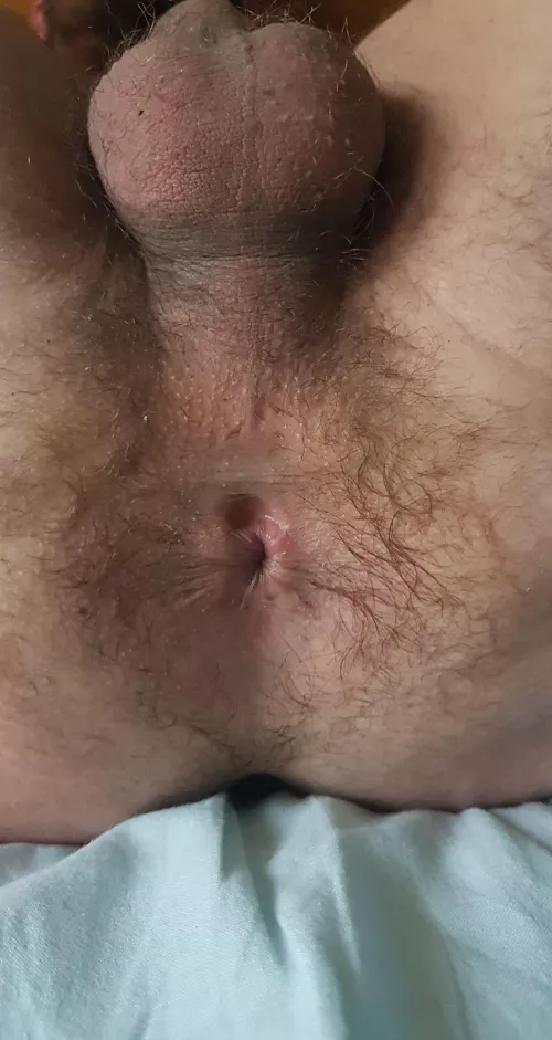 Is it nice ? by ImaginationOk8440