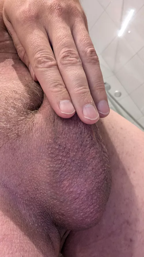 Just shaved by One_Paper_9060