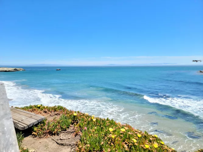 Santa Cruz, California by reytaino809