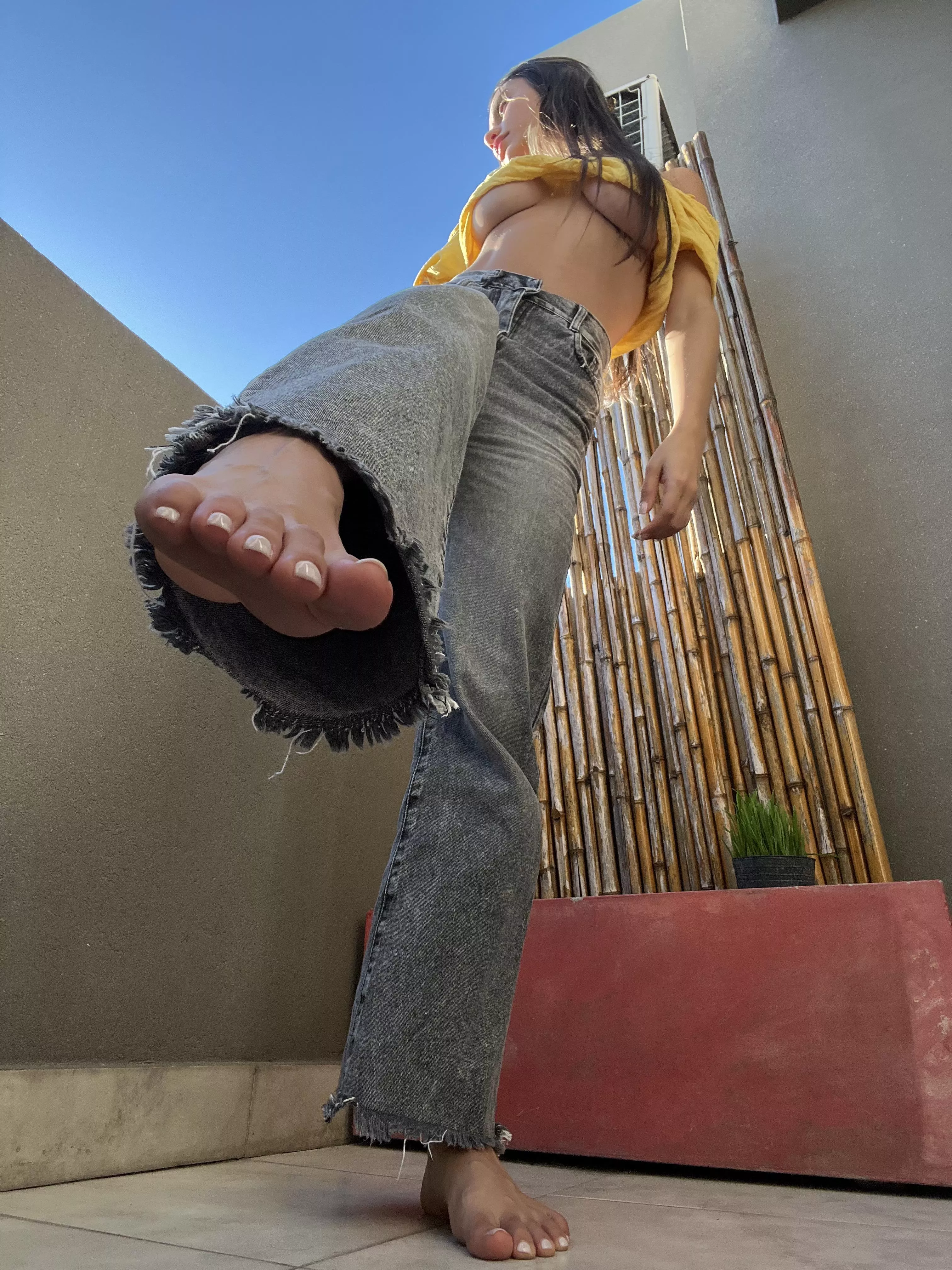 Since you’re on your knees begging, go ahead and clean them. posted by sexyemma07