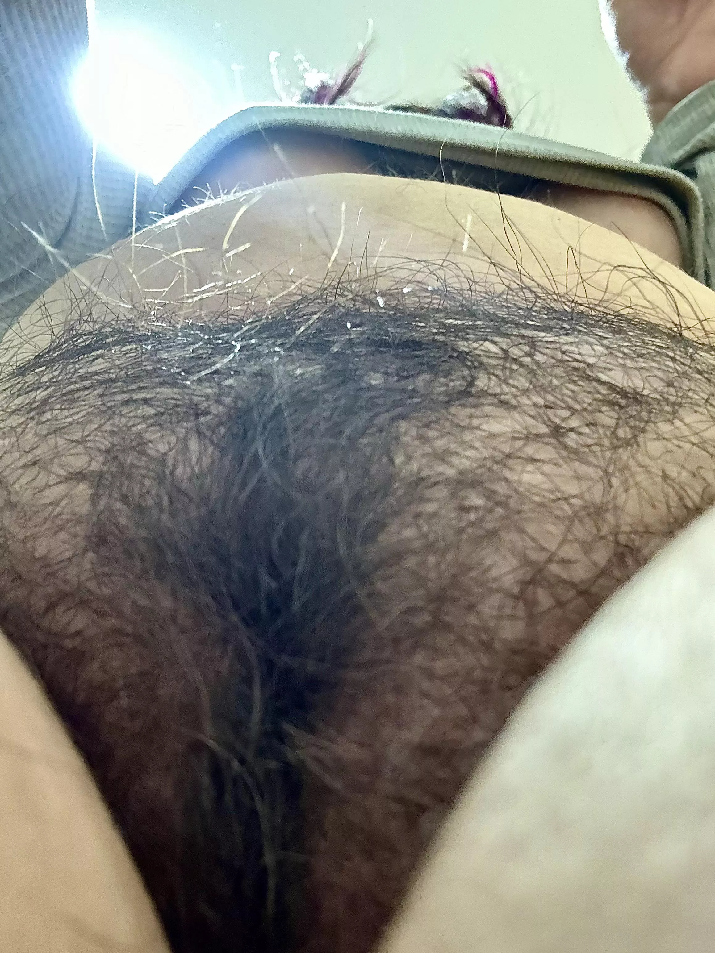 this bush is getting wild  posted by Maleficent-Poly