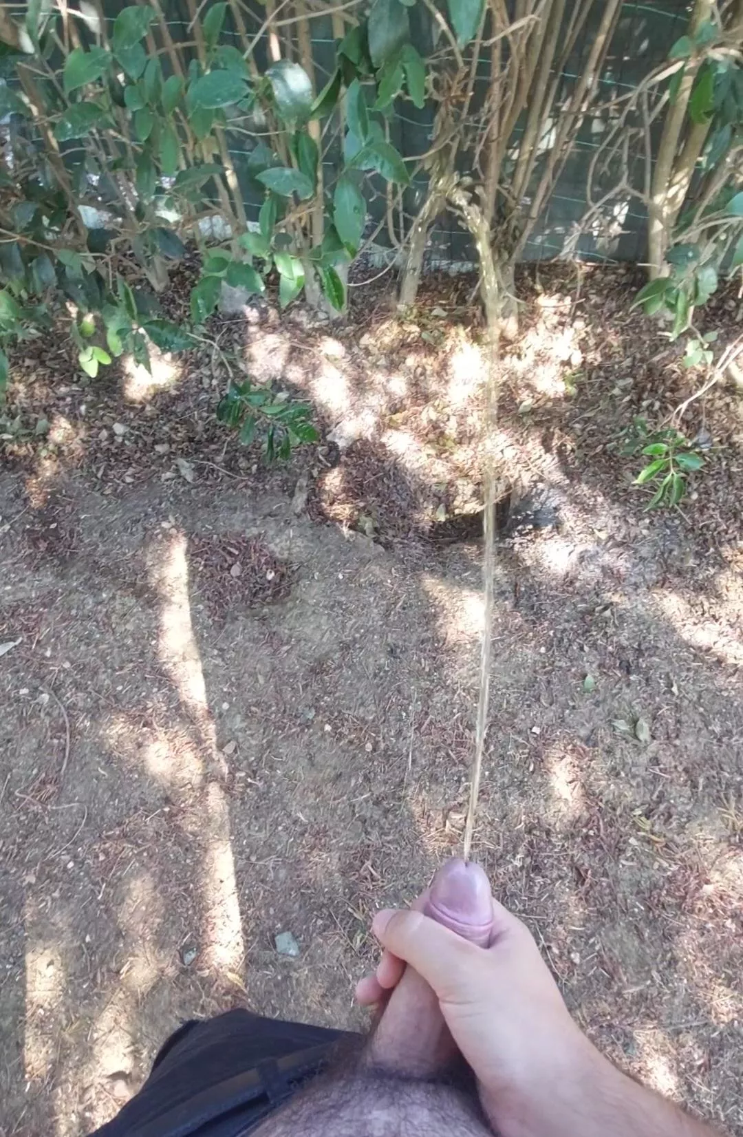 I love pissing outside in the morning🤤 posted by No-Echidna974