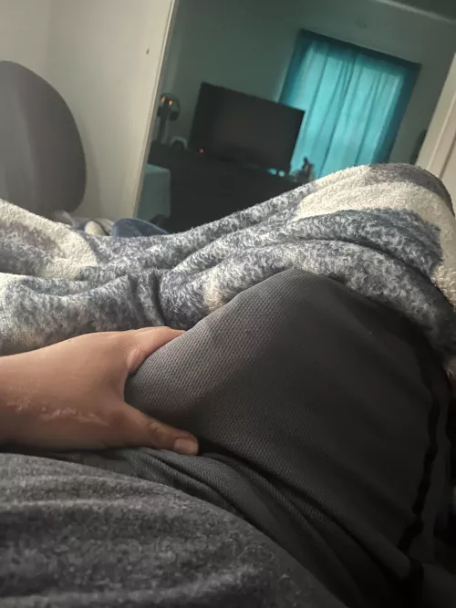 (19) morning wood by Gloomy-Farm5396