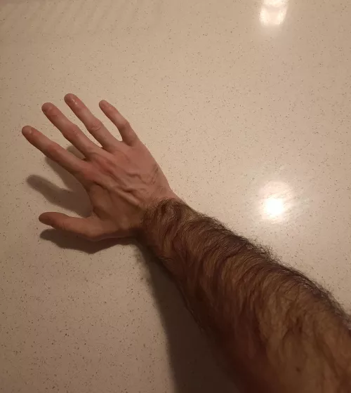 Pet my arms by bludrevenge