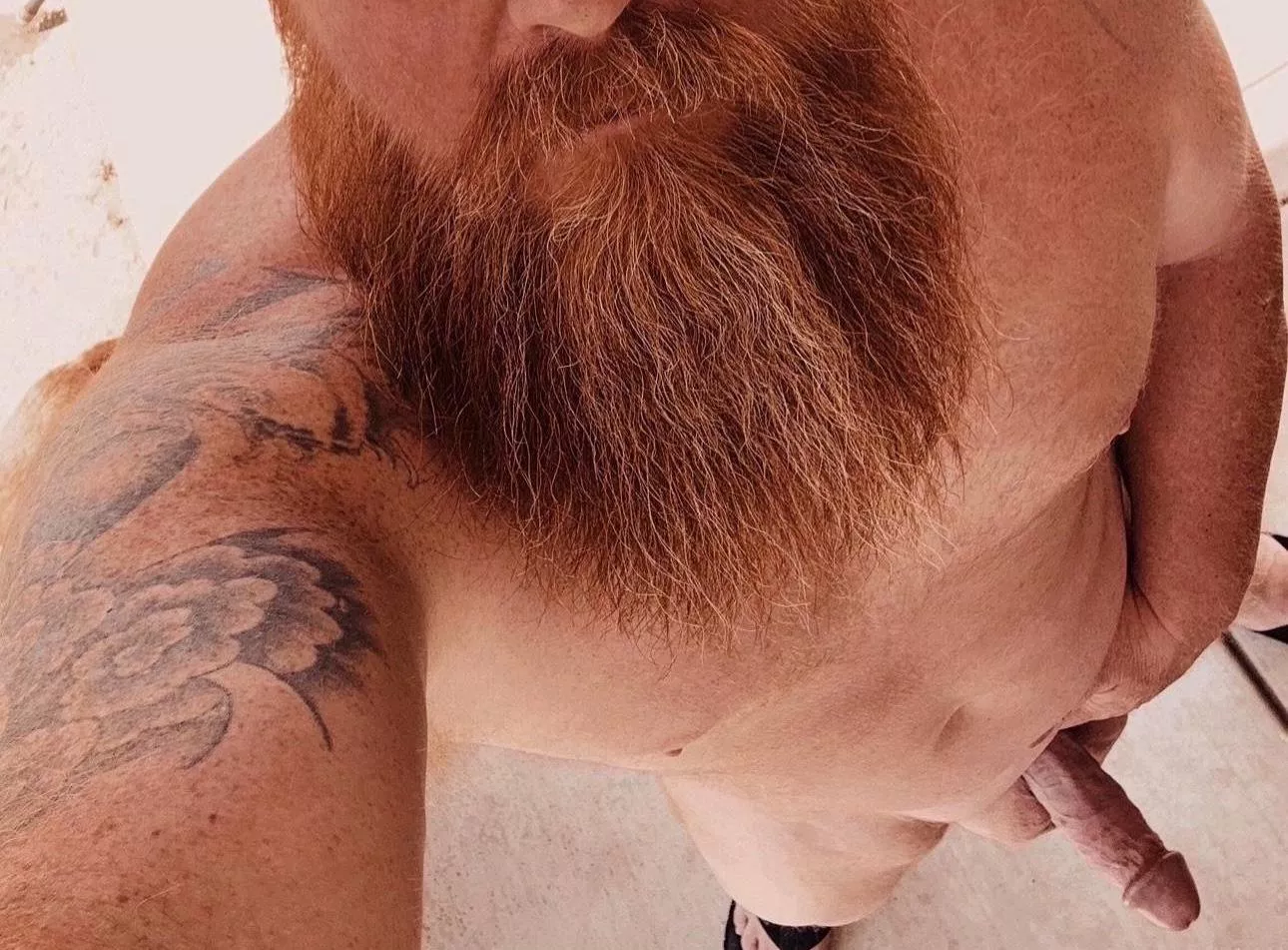 Sunday Funday posted by beardedheathen69