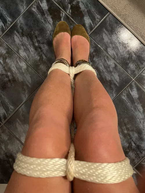 Tied up tight last night… by Intelligent_Box_8039