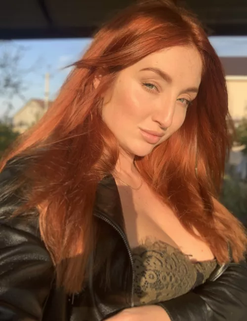 A sunkissed Red Fox by Kratos20101