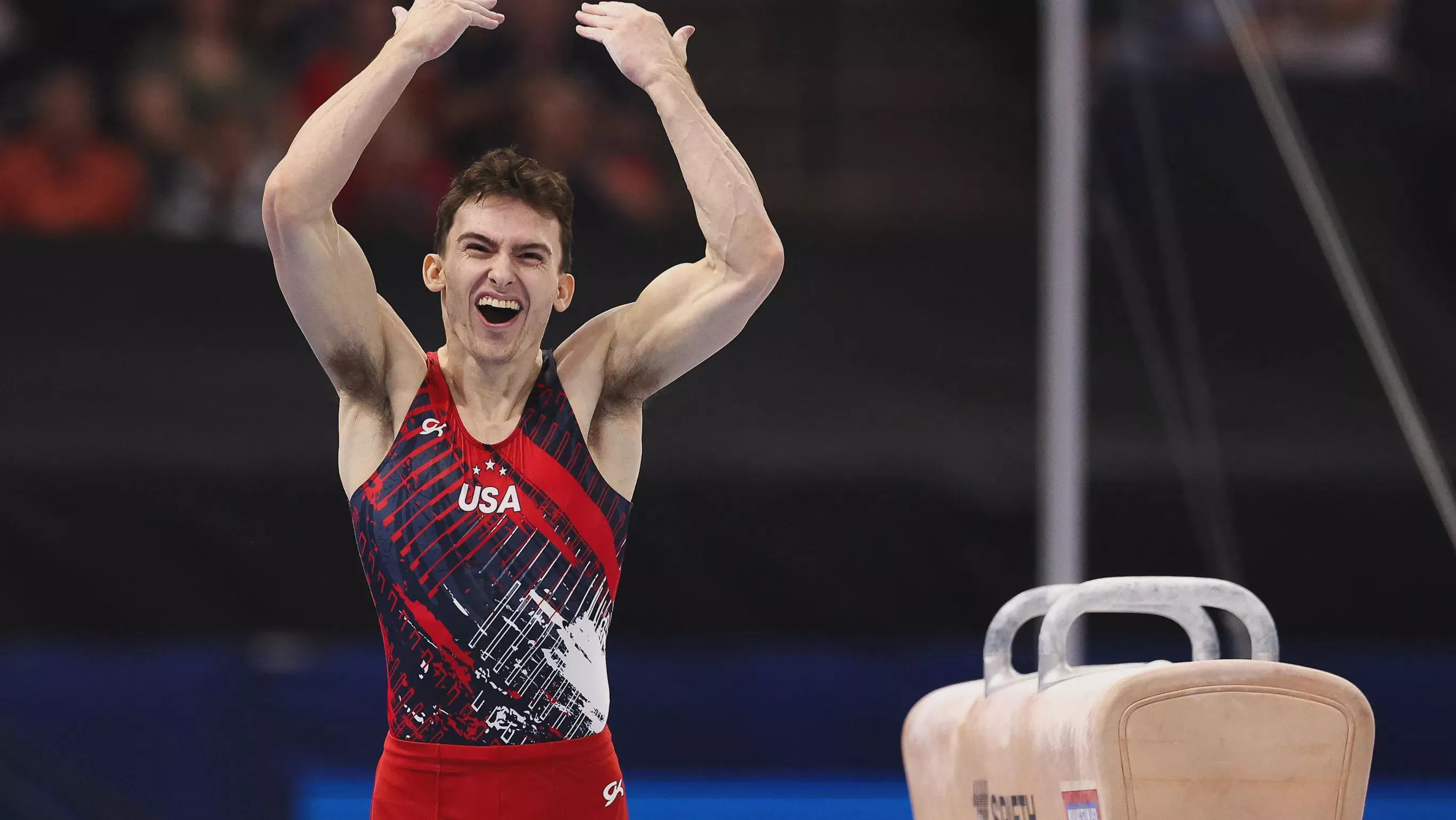 Happy Summer Olympics to all of you (not OC) posted by Foreign-Objective271