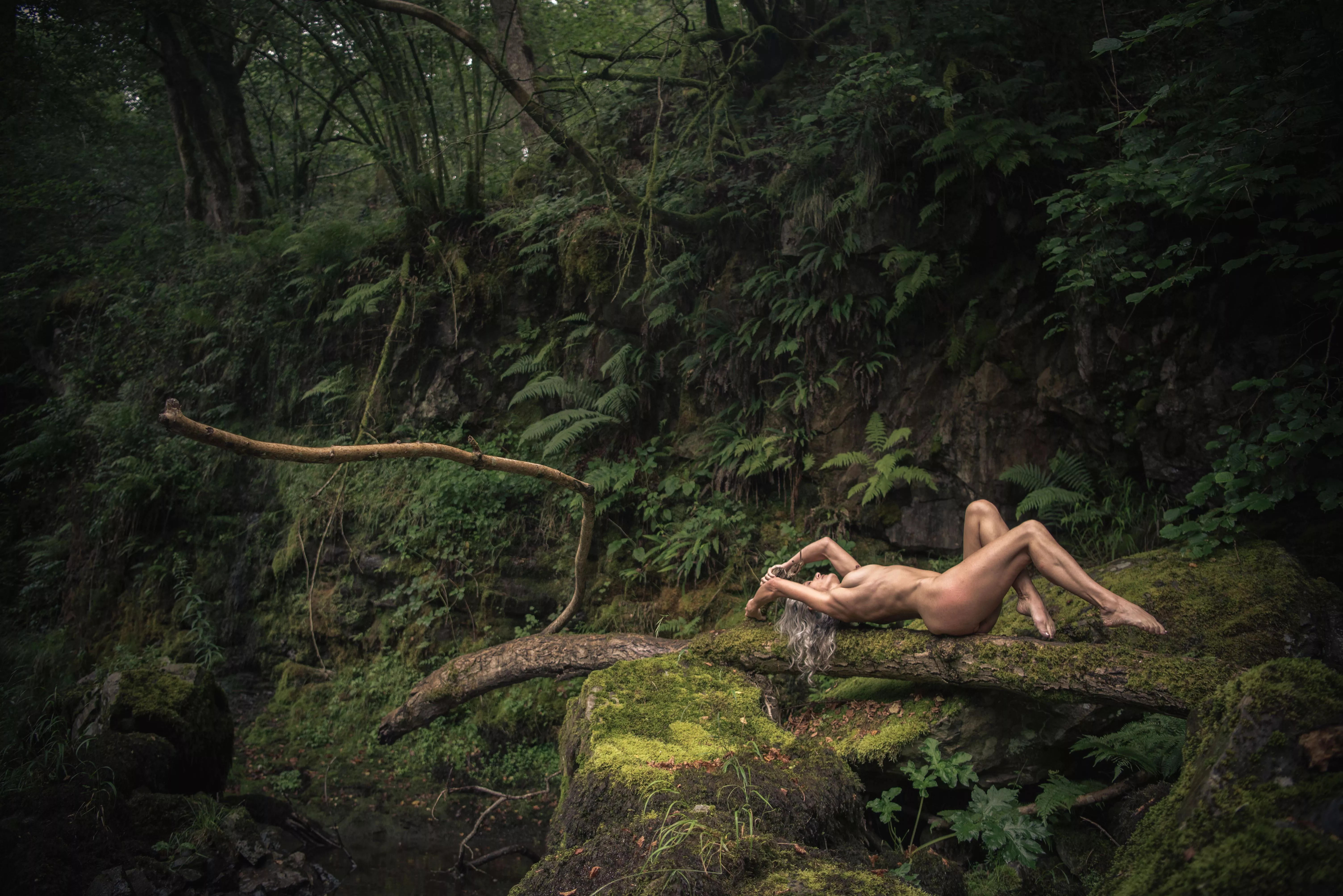 Making the most of deadfall in the Brecon Beacons  posted by HelenSaunders