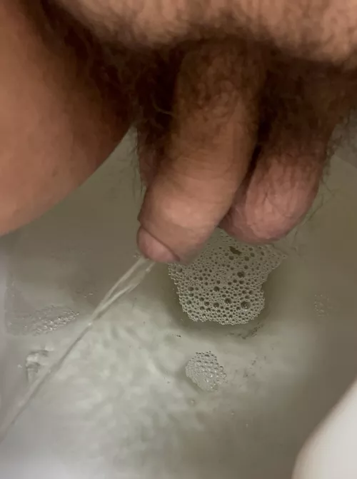 Ya know, just hanging around by husbearandbooboo