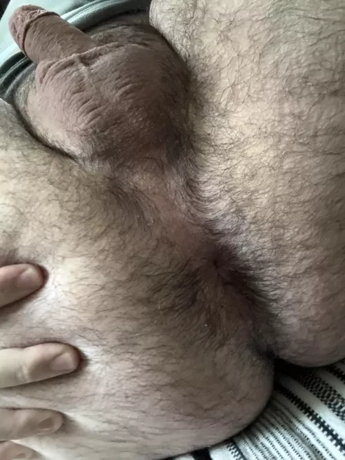 Does it look breedable? by _hiddengem_00