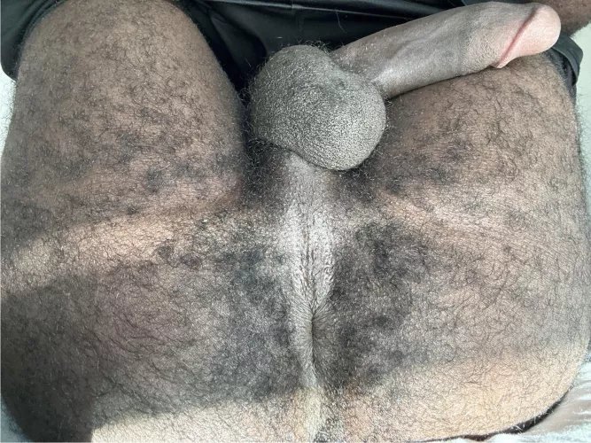 I want a bro with a hairy hole like me😩 by Human-Dimension-