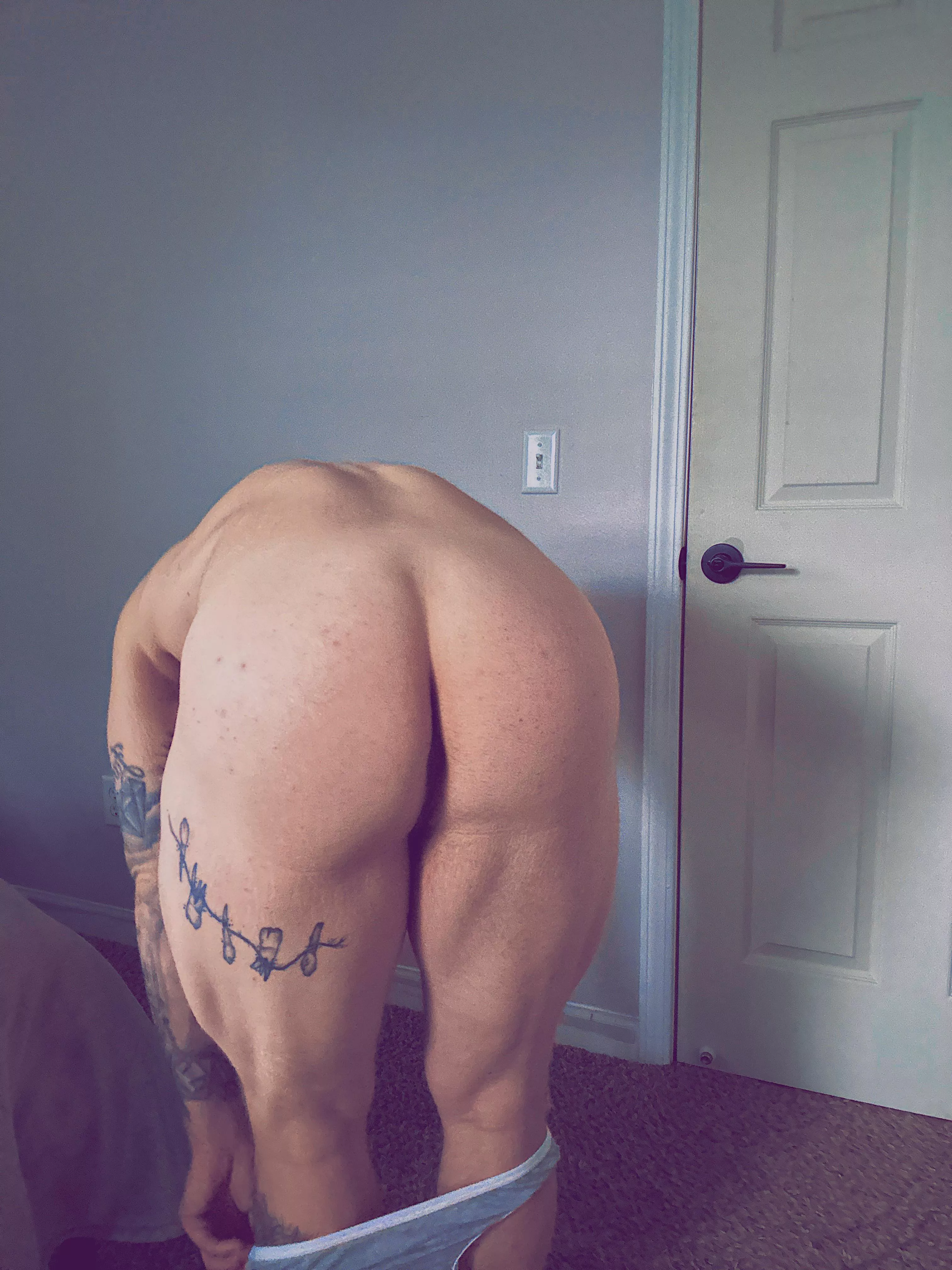 I’ve been told I can be an ass. How’d I do?  posted by HideRemy