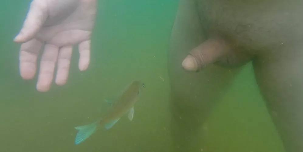 Something fishy here by curiousnaturelover