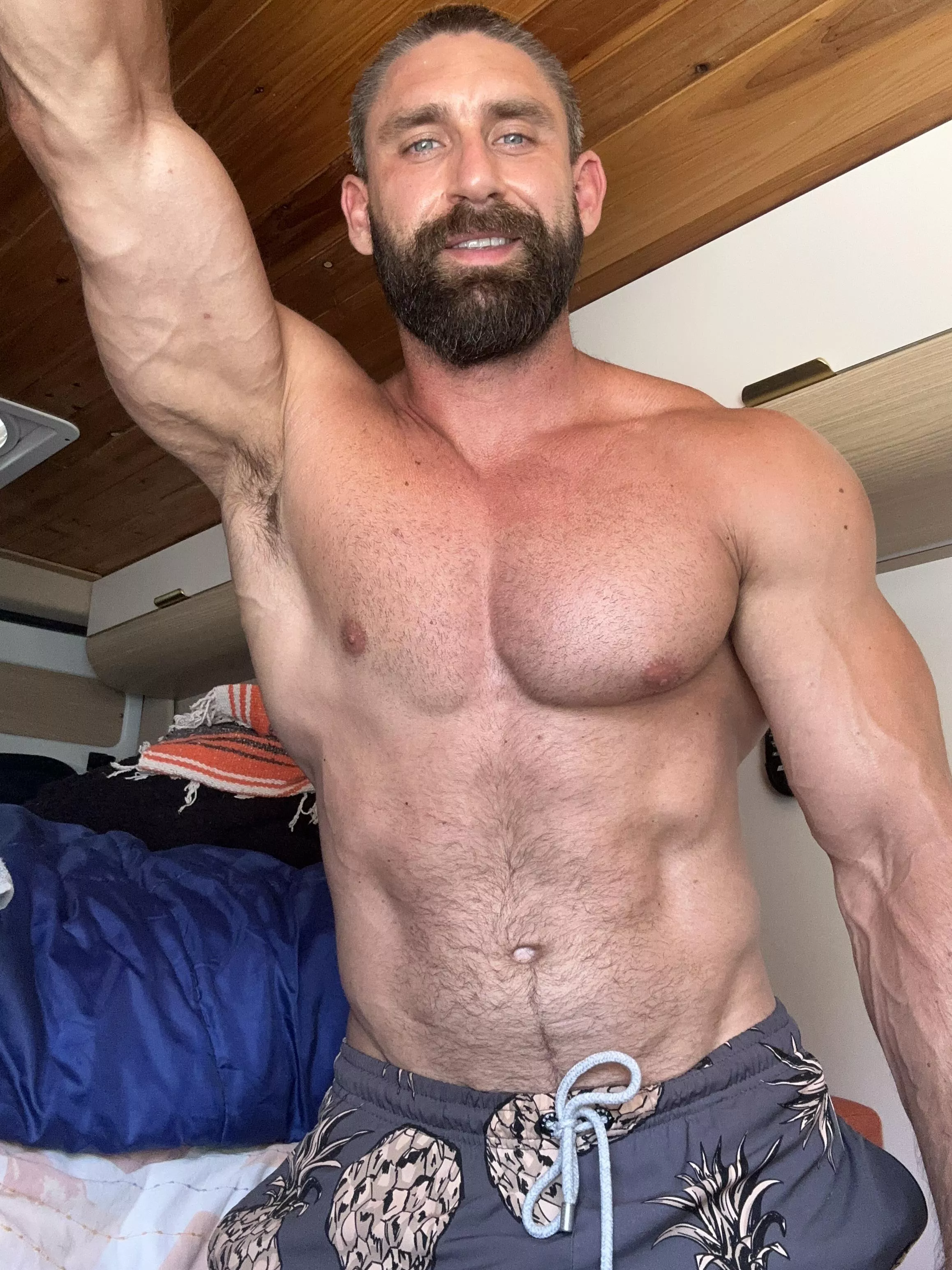 Hey there  posted by onlygainzsteve