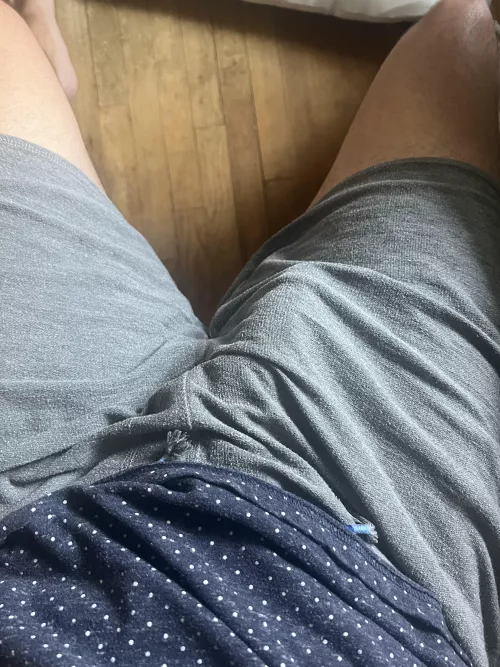 My softie at work by Separated07