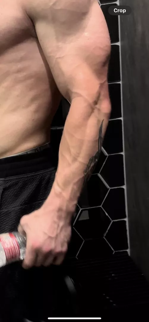 Need a new gym partner by camocopecan