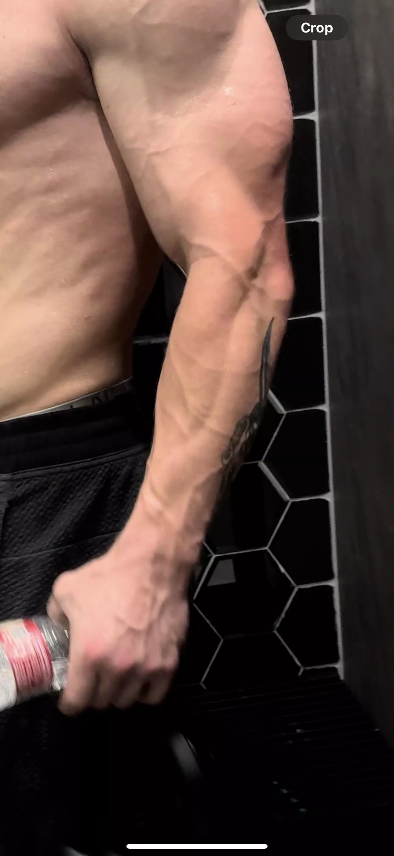 Need a new gym partner posted by camocopecan