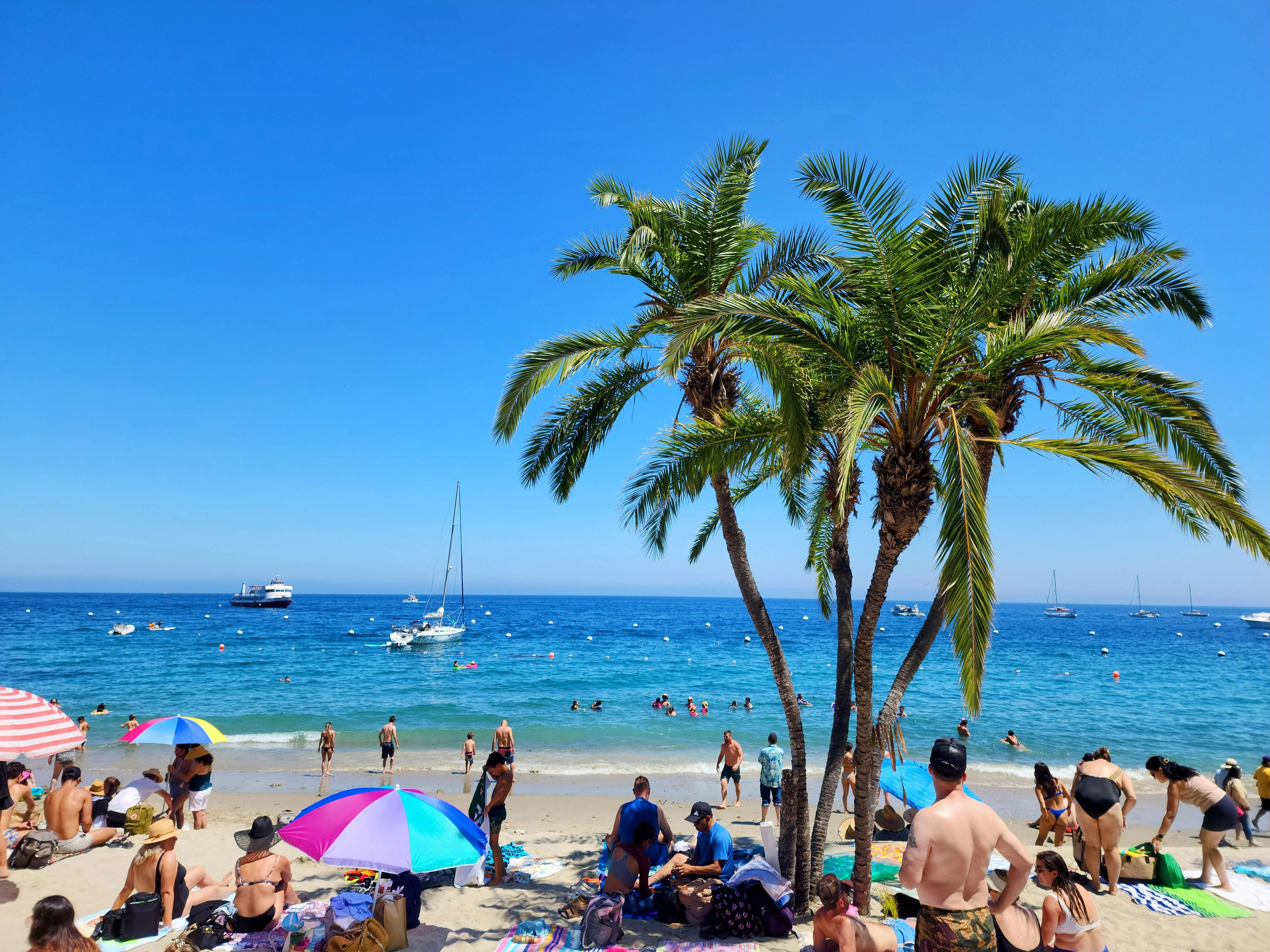 Santa Catalina Island, California  posted by reytaino809