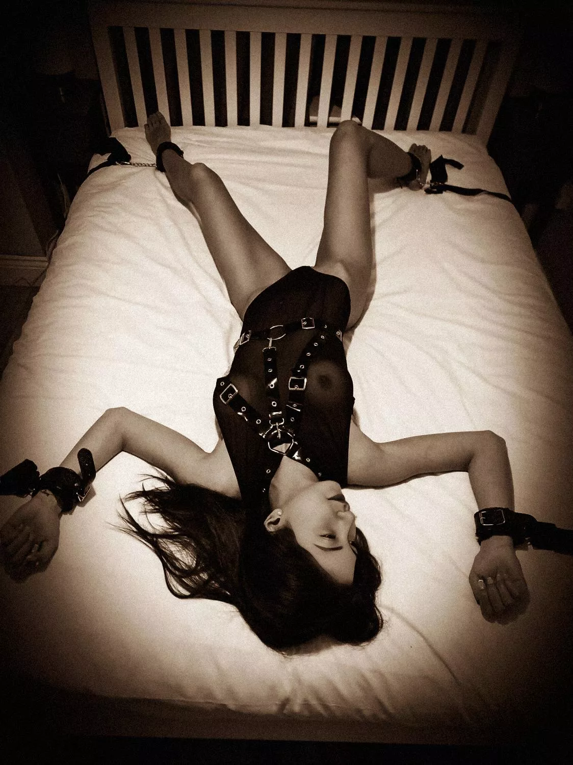 What is next? posted by fumanchuu69