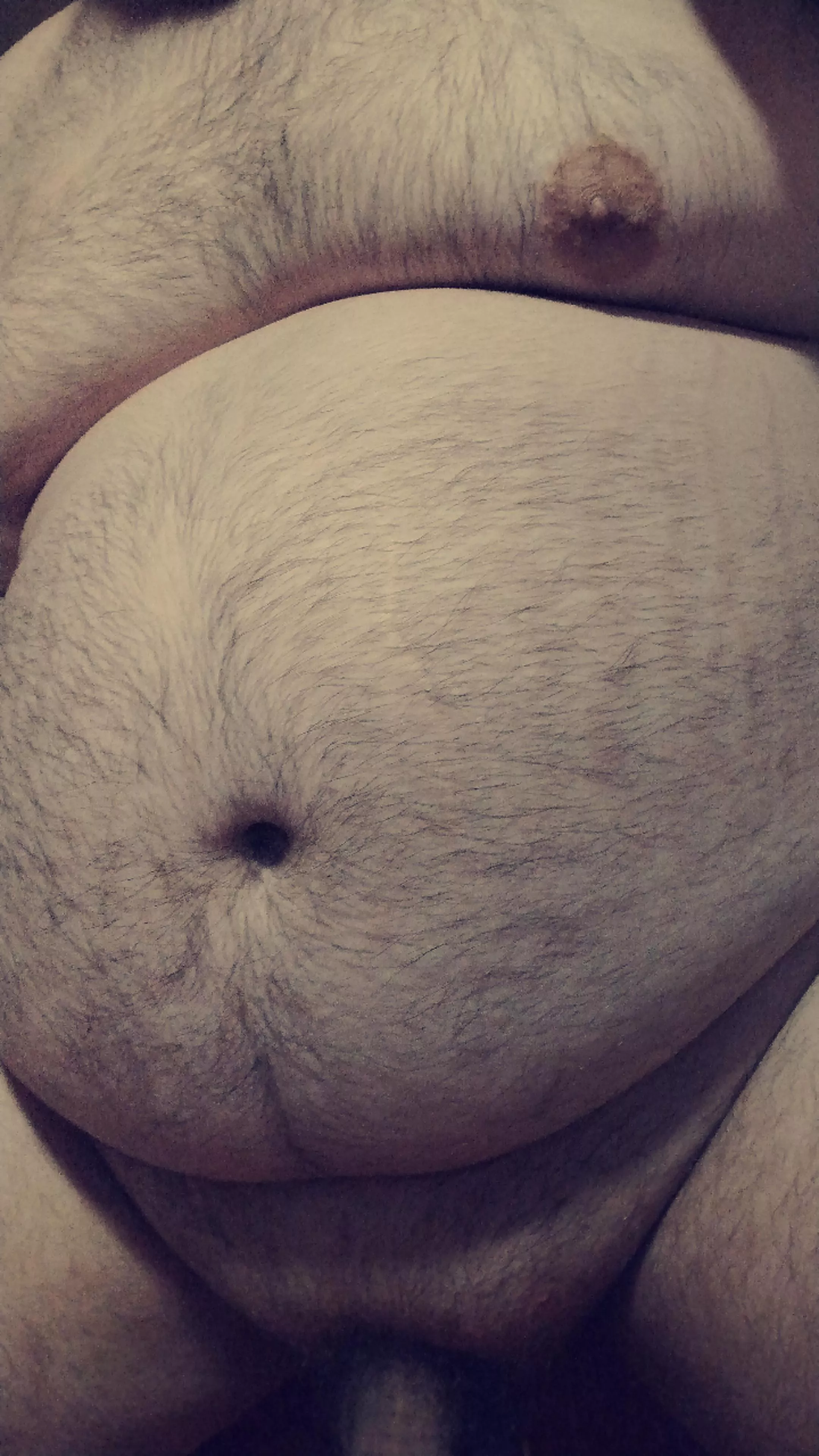 23 Bear, do I fit in here?  posted by Arlow-Boop