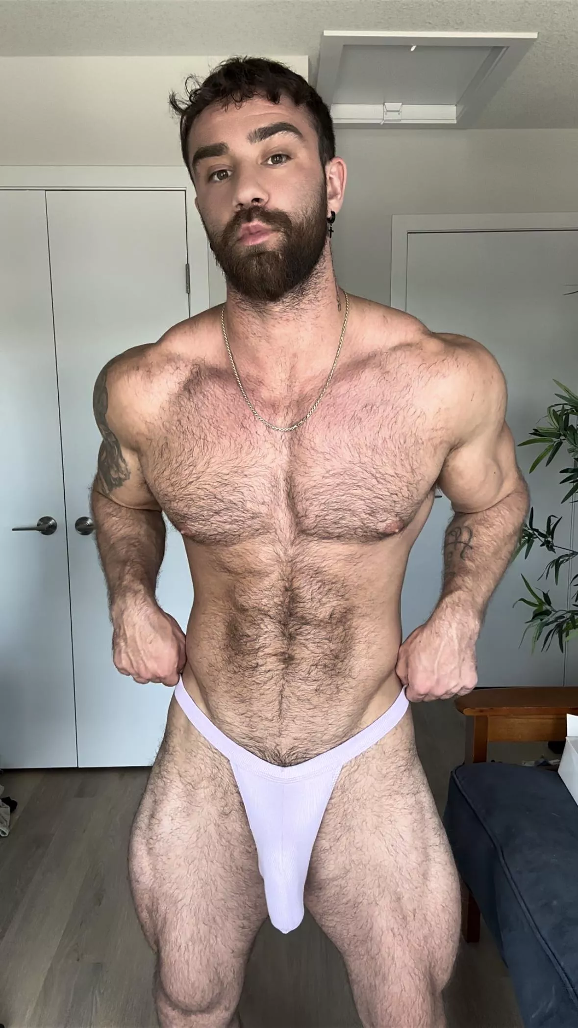 Hairy V  posted by alphaflexer