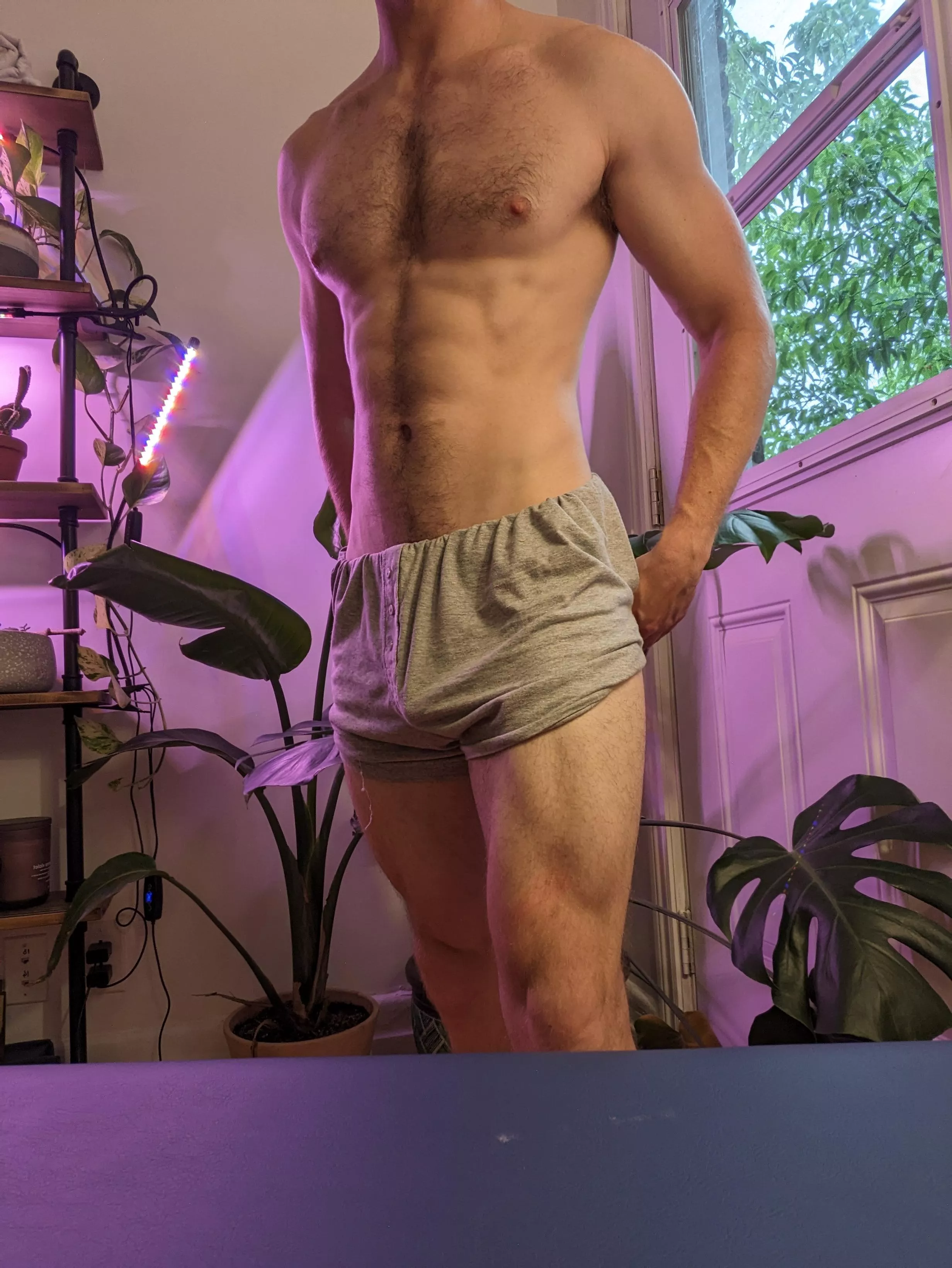 In the plant corner posted by Tinka_Grybas