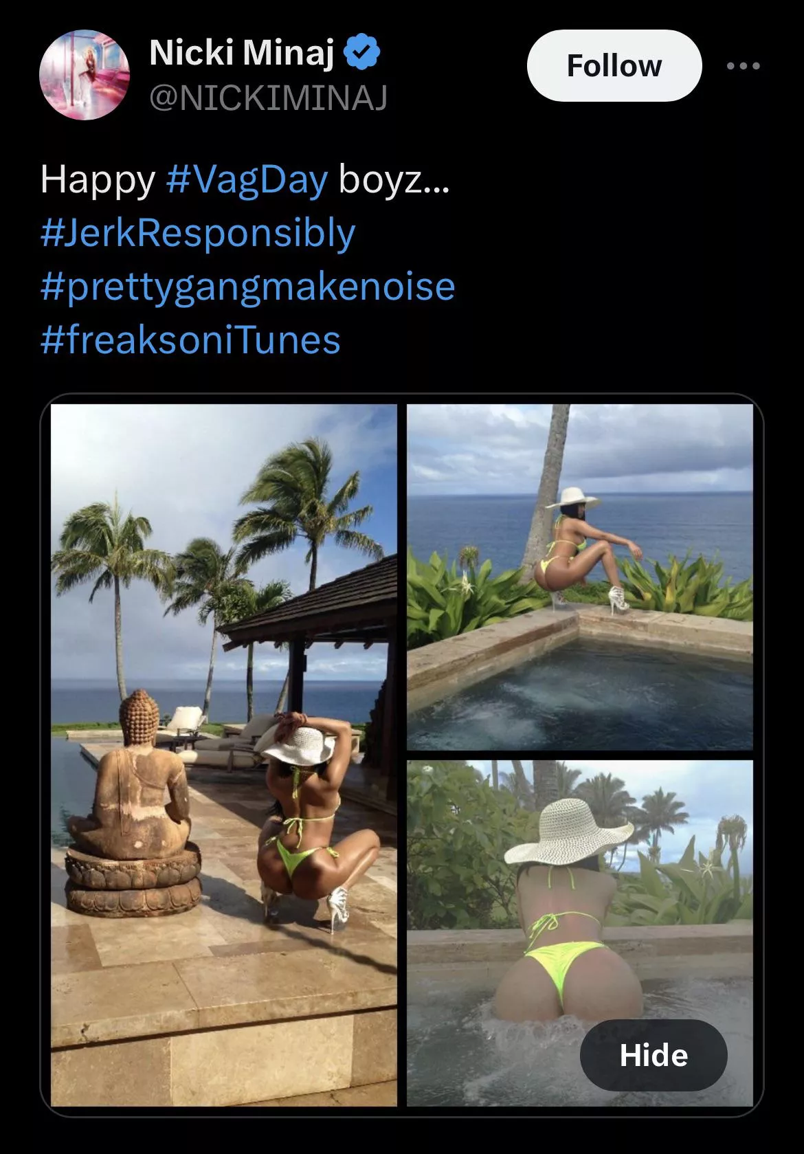 Remembering when Nicki Minaj encouraged her fans to #JerkResponsibly for her on V Day posted by Ornery_Equipment_127