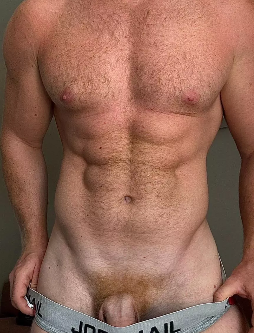 You like hairy daddies? posted by Ok-Philosopher-9562