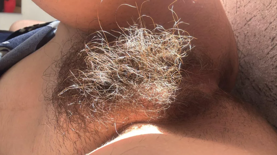 A little sunny bush never hurt nobody by lickedyslit