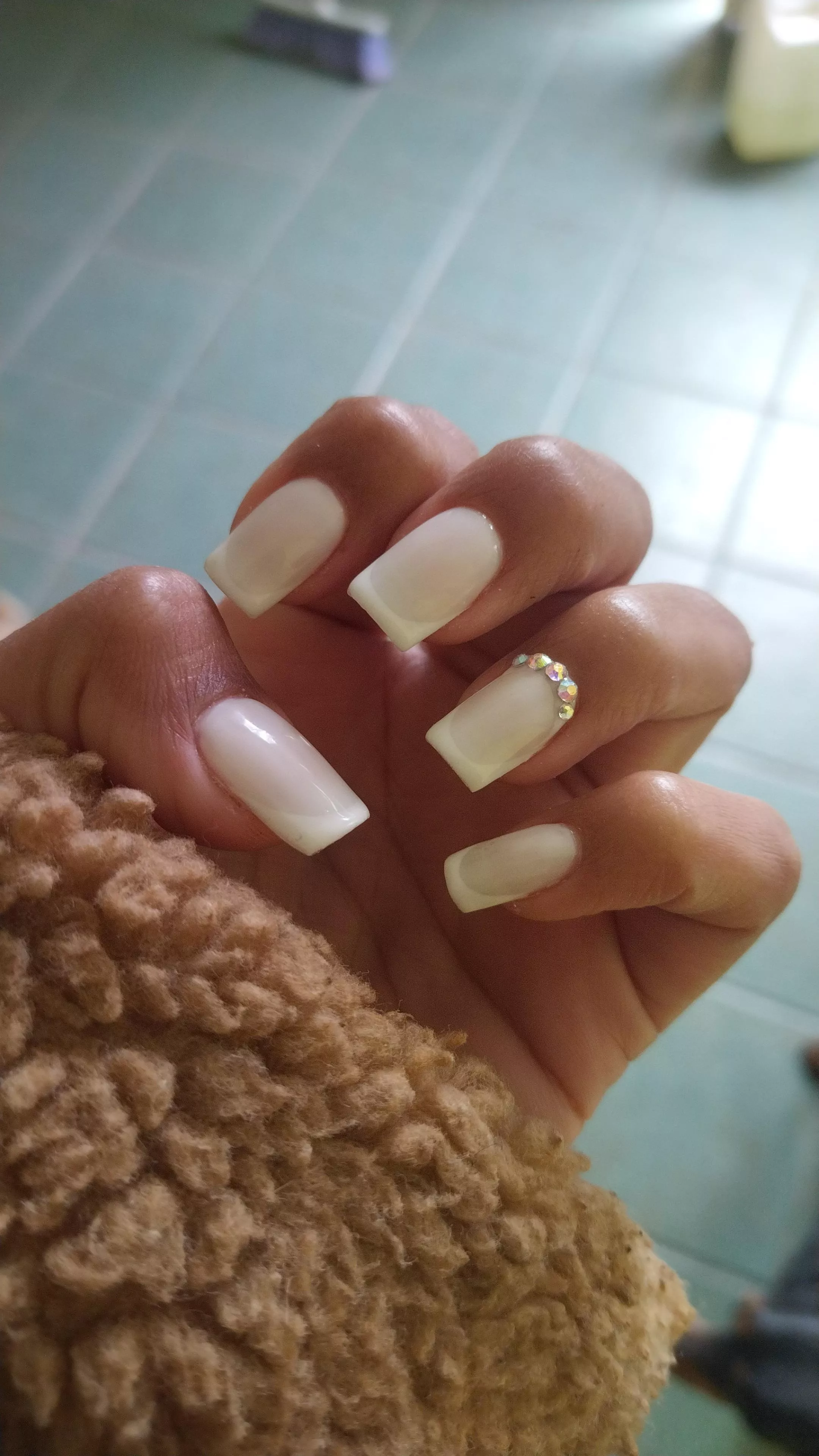 Frenchies are always perfect.  posted by Saomi_G